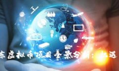 2023年山东虚拟币项目全景分析: 机遇与挑战并存